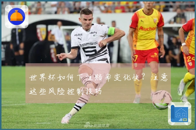 世界杯如何下注赔率变化快？注意这些风险控制技巧
