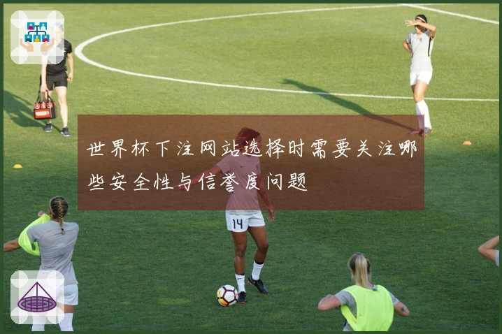 世界杯下注网站选择时需要关注哪些安全性与信誉度问题