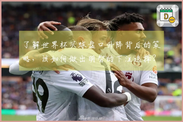 了解世界杯买球盘口升降背后的策略，该如何做出明智的下注选择？