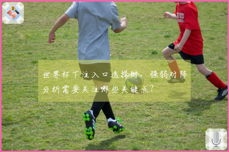 欧博官网体育资讯图