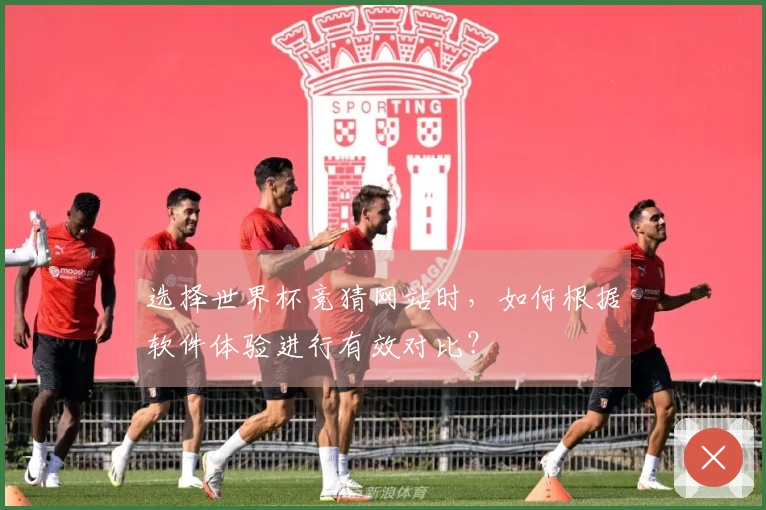 选择世界杯竞猜网站时，如何根据软件体验进行有效对比？