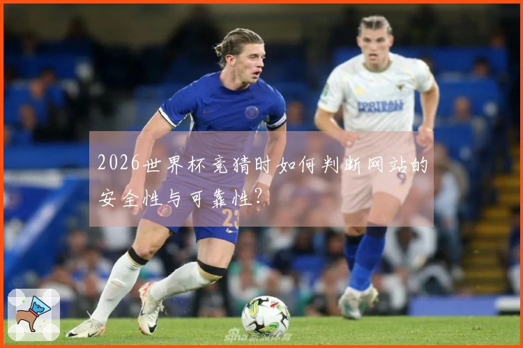 2026世界杯竞猜时如何判断网站的安全性与可靠性？