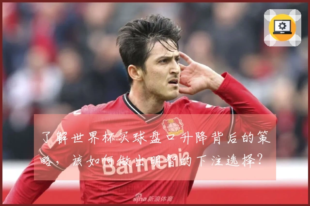 了解世界杯买球盘口升降背后的策略，该如何做出明智的下注选择？